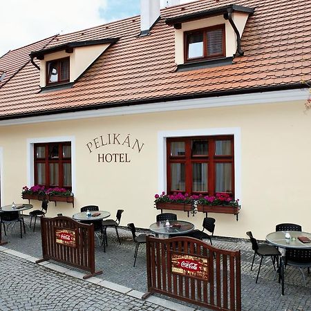 Hotel Pelikan Třeboň المظهر الخارجي الصورة